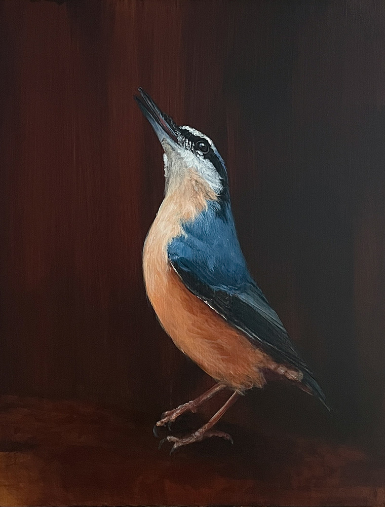 Original handgemalte Kunst Vogelmalerei Kleiber, Simone Hofmann Art, Haltern am See