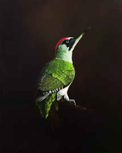 Das Gemälde zeigt einen auf einem Ast sitzenden Grünspecht. Die Bildsprache ist angelehnt an die Chiaroscuro-Malerei der alten Meister: Die Umgebung ist dunkel gehalten, und ein Teil des aus der Dunkelheit hervortretenden Vogels ist hell beleuchtet.