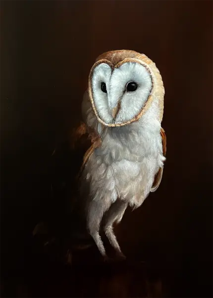 Das Gemälde zeigt eine auf einem Baumstumpf sitzende Schleiereule. Die Bildsprache ist angelehnt an die Chiaroscuro-Malerei der alten Meister: Die Umgebung ist dunkel gehalten, und ein Teil des aus der Dunkelheit hervortretenden Vogels ist hell beleuchtet.