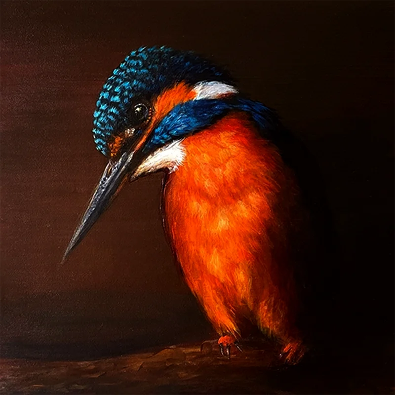 Porträt eines Eisvogels in Acryl von Malerin Simone Hofmann, Chiaroscuro-Stil