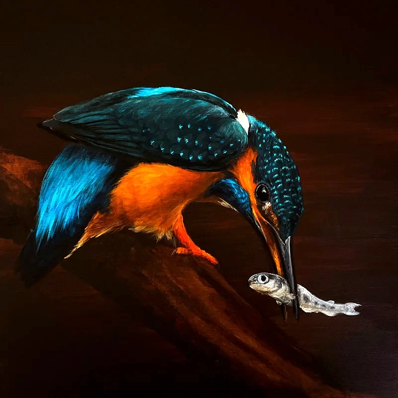 Gemälde Eisvogel von Künstlerin Simone Hofmann im Chiaroscuro-Stil vor dunklem Hintergrund