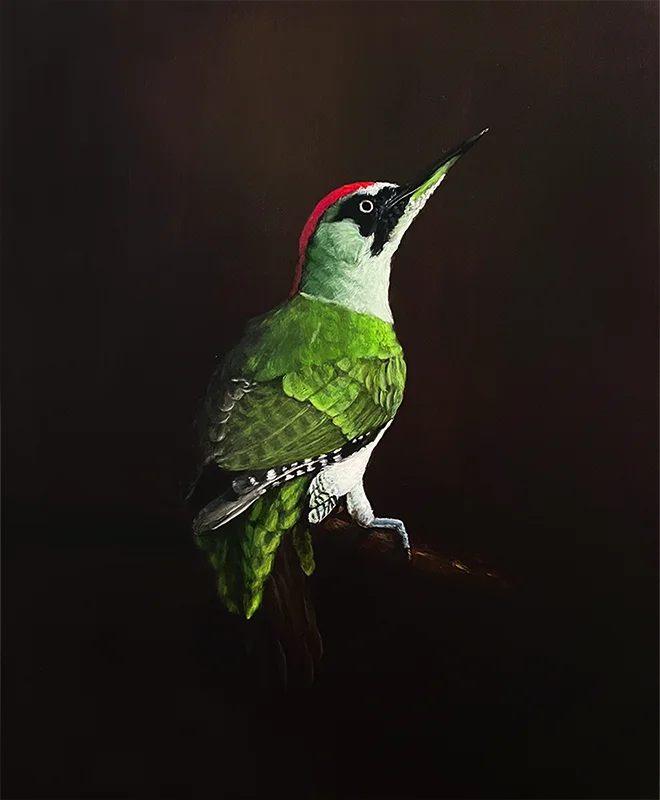 Gemälde eines Grünspechts auf einem Ast im klassischen Chiaroscuro von Simone Hofmann