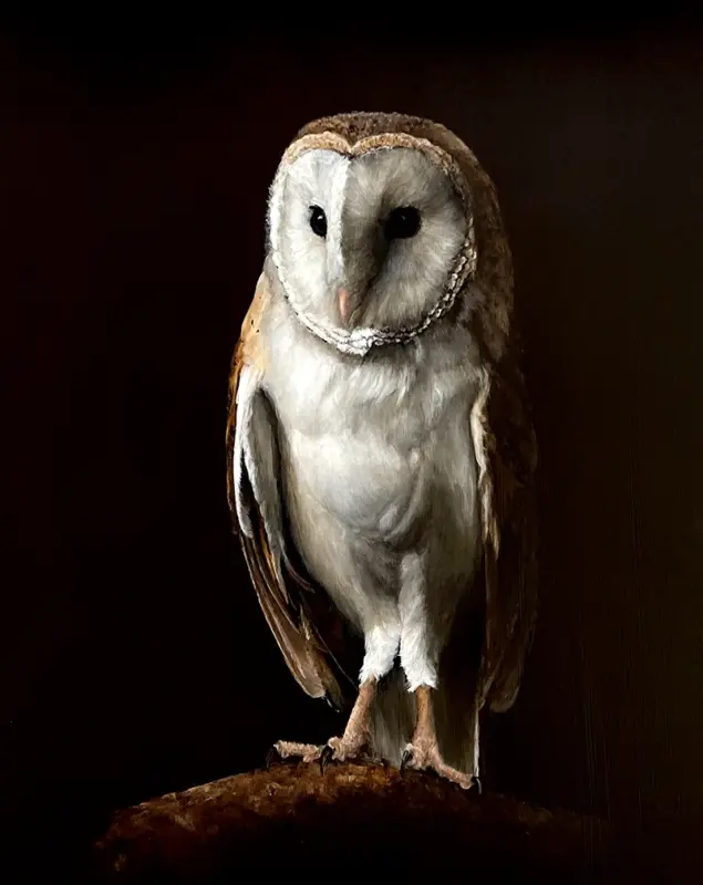 Porträt einer Schleiereule in Acryl von Vogelmalerin Simone Hofmann, Chiaroscuro-Stil