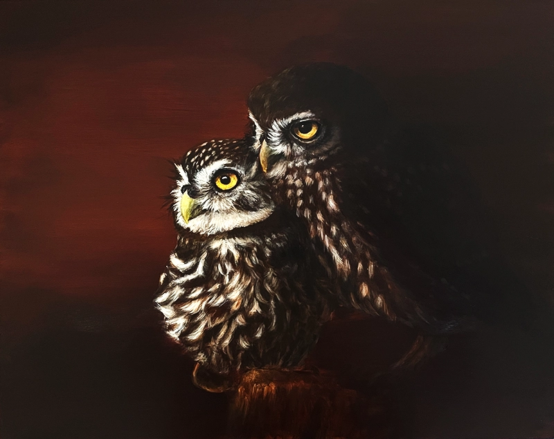 Gemälde zweier Steinkäuze im Licht-Schatten-Wechsel, gemalt von Simone Hofmann