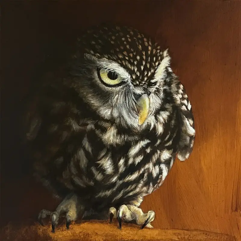 Gemälde eines Steinkauzes auf einem Ast im klassischen Chiaroscuro von Simone Hofmann
